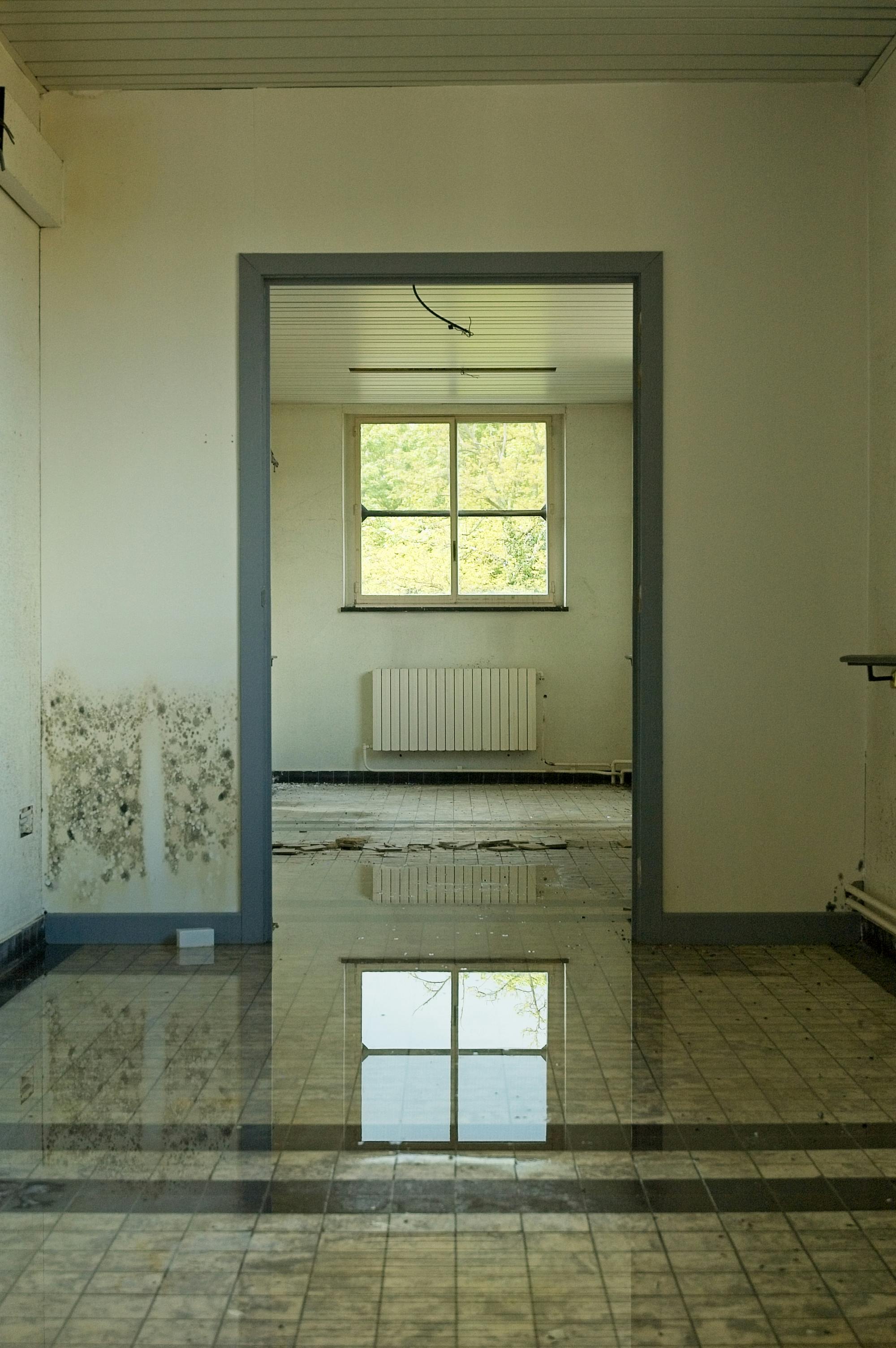 Interior leak and damp wall waterproofing problem
